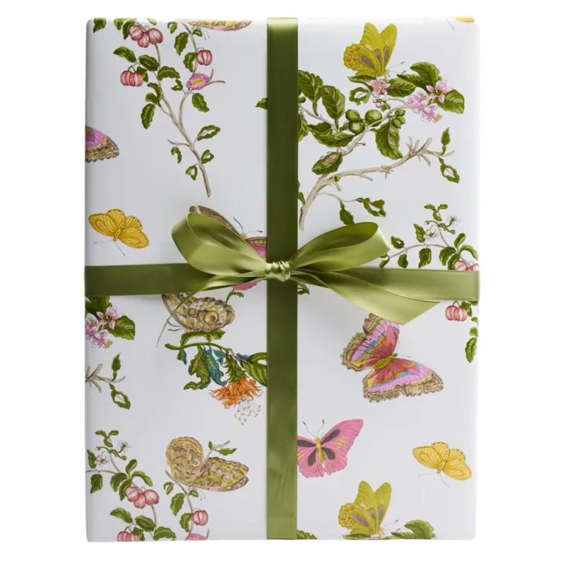 Baudin Butterfly Gift Wrap – Illustrated Insect Pattern Paper 1
