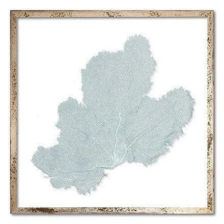 Coastal Sea Fan Square Wall Art – 30" X 30" – 19 Color Options 1