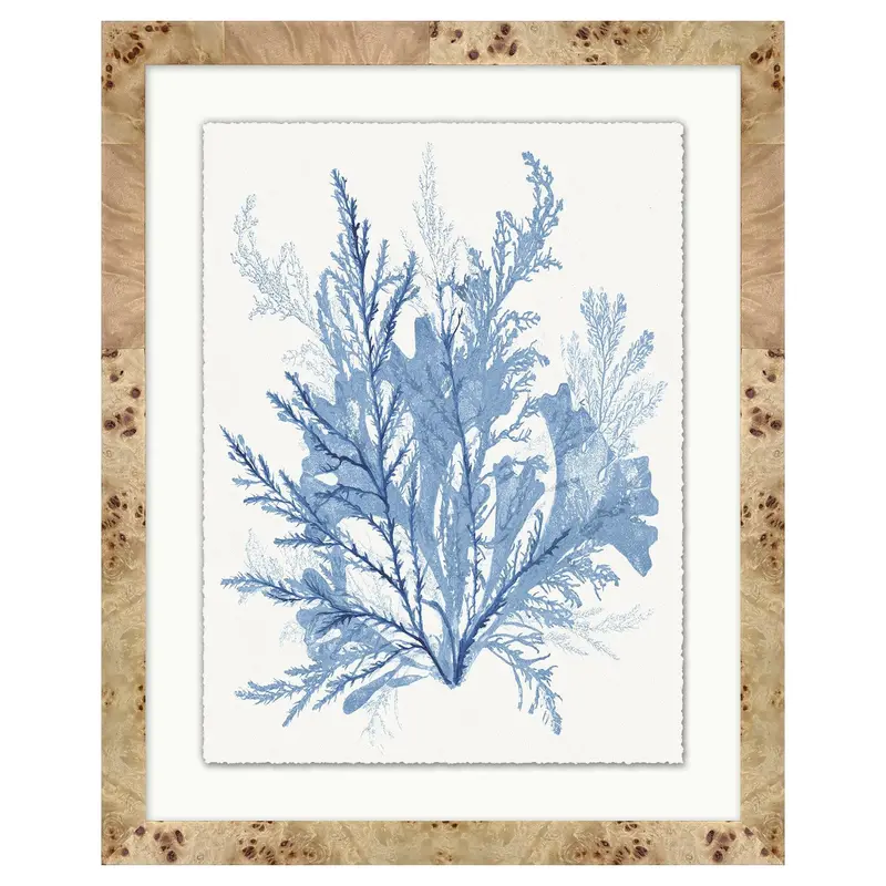 Coral Formations Series – Print #4 Wall Art 1