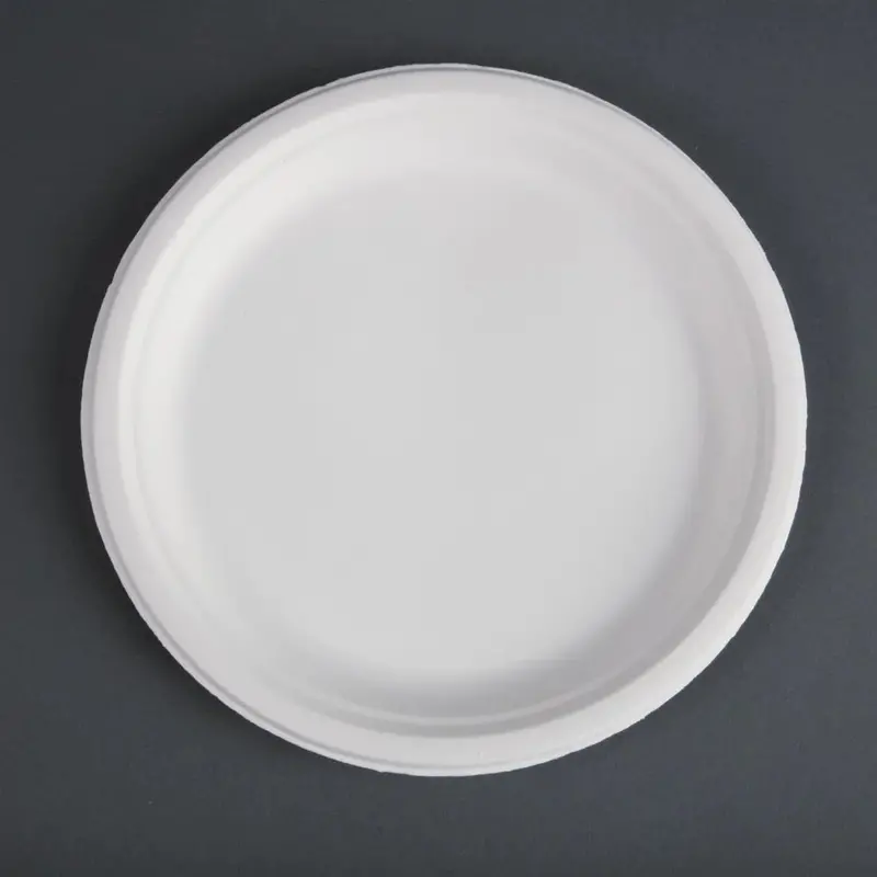 Eco Bestbuy 10-Inch Round Disposable Plates – 50-Count Pack 1
