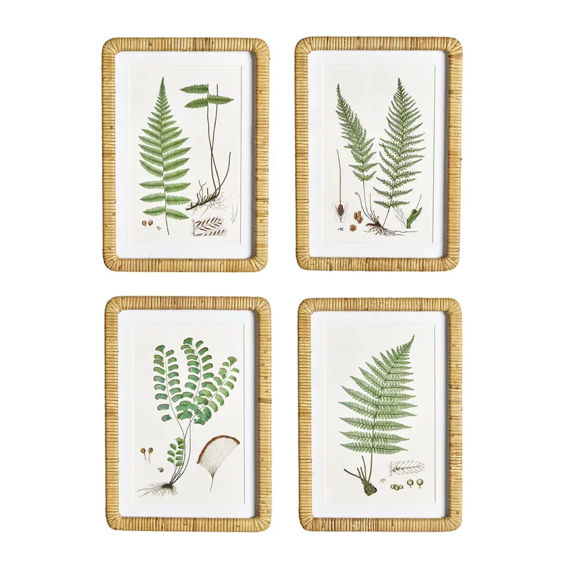 Forest Fern Botanical Print Set – 4-Piece 1