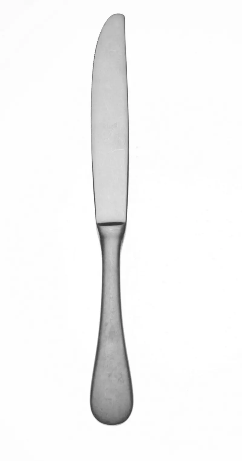 Mepra Vintage-Style Stainless Steel Table Knife 1