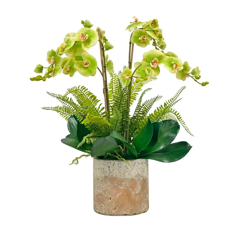 Orchid And Fern Arrangement In Brooks Ceramic Planter (24" Tall) 1