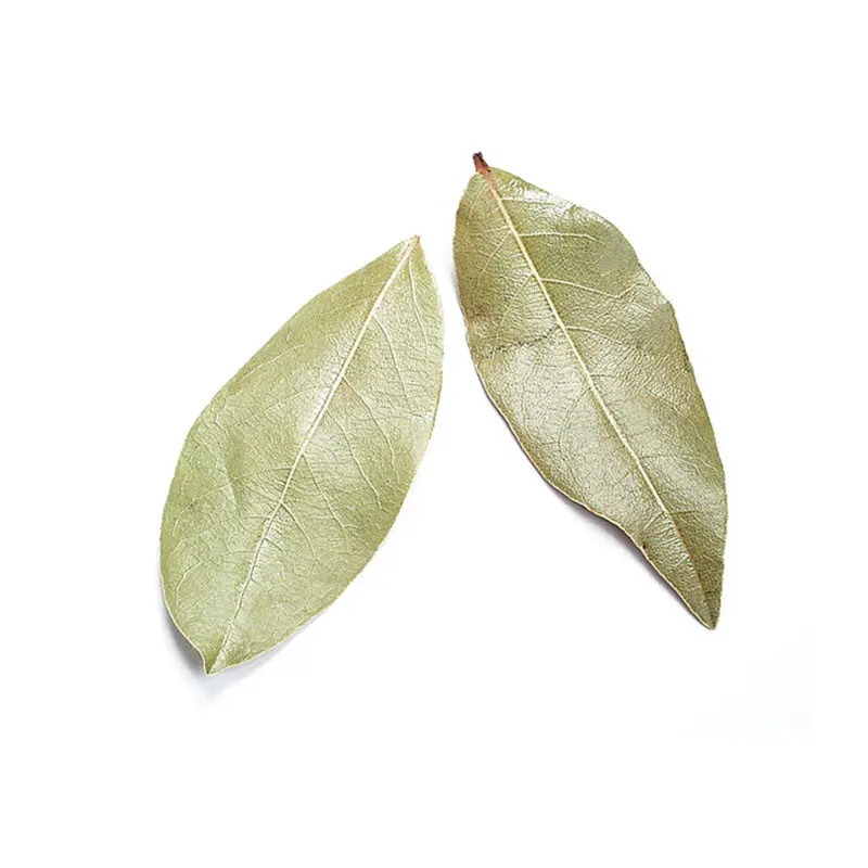 Premium Hand-Selected Bay Leaves – Dried & Fragrant 1