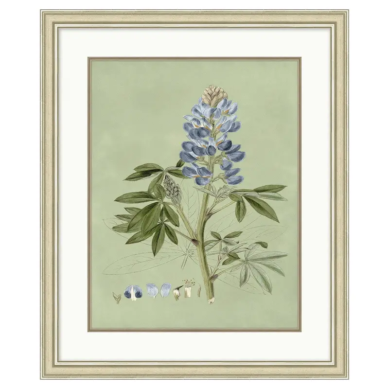 Sage & Blue Botanical Wall Art Print No. 1 1
