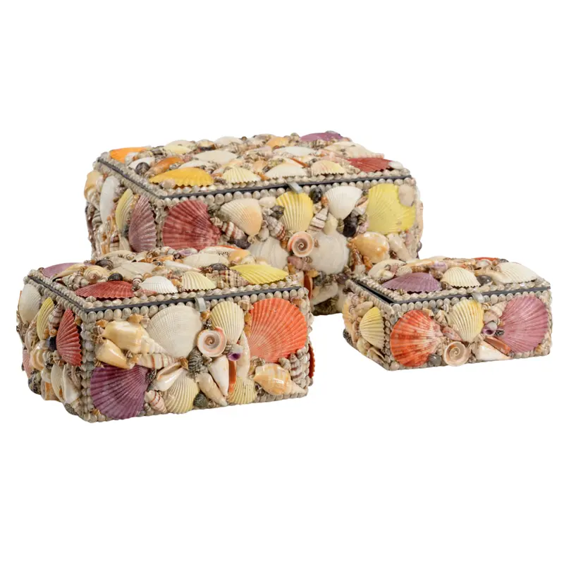 Set Of Three Natural Seashell Storage Boxes 1