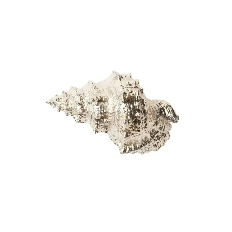 Silver-Dipped Bursa Seashells For Decorative Display 1
