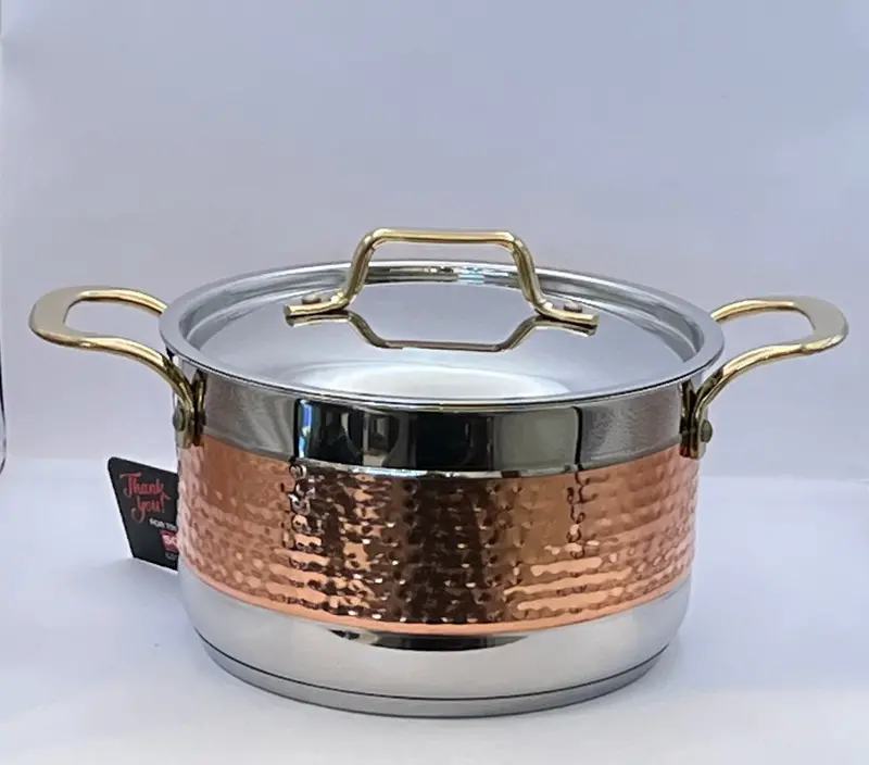 Sonu Induction-Compatible Heavy-Bottom Stainless Steel Cooking Pot 1