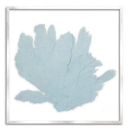 Square Nautical Sea Fan Art – Framed Coastal Wall Decor, 37X37 Inches, 19 Finish Choices 1