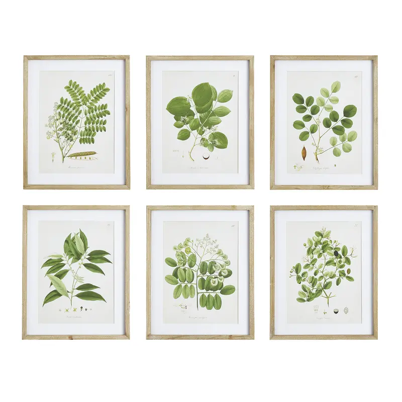 Tree Leaf Botanical Study Print Set – 6-Piece 1