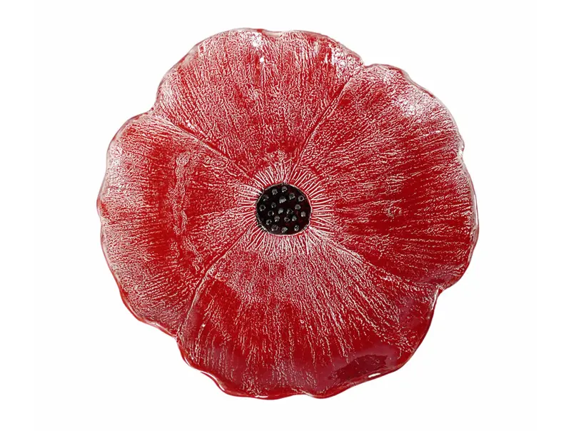 Virginia Casa Prato Poppies Salad & Dessert Plate – 22Cm Botanical Ceramic Dish 1